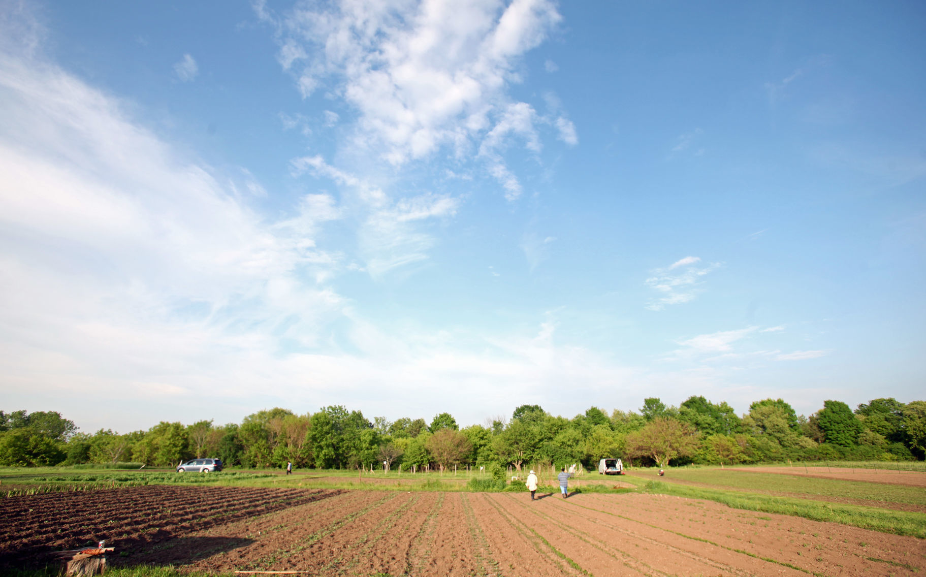 Westport Farm